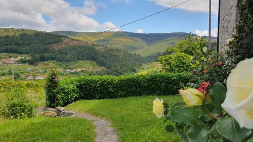 a garden with a view of a mountain at Casa Caminho da Ponte in Monção