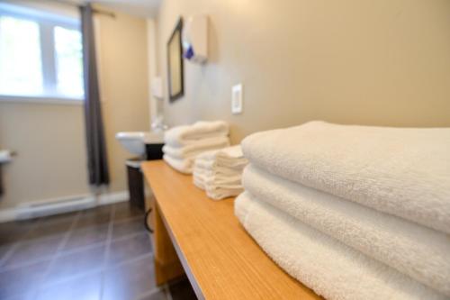 a hotel room with two beds and a sink at OTIS Nature in Lamarche
