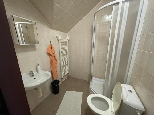 La petite salle de bains est pourvue de toilettes et d'un lavabo. dans l'établissement Pension Korýtko, à Horská Kvilda