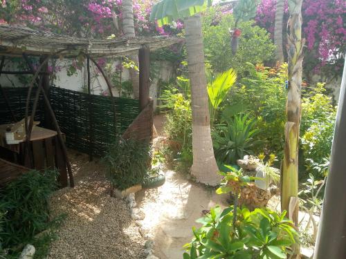 a garden with a fence and a tree and plants at keur alain in Sali Nianiaral
