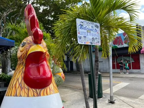 Stunning Little Havana Close to Airport, Calle Ocho, Brickell, Cruises,Wynwood and the Beaches - Free Parking photo 34
