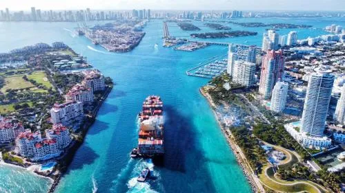 Stunning Little Havana Close to Airport, Calle Ocho, Brickell, Cruises,Wynwood and the Beaches - Free Parking photo 33