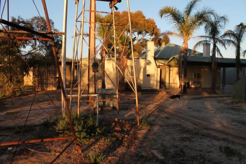 a house with a tree in front of it at Migga Cottage in Winkie