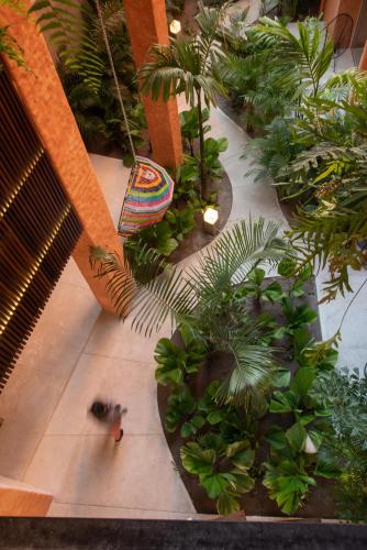an overhead view of a garden with a surfboard at Sayulinda Hotel in Sayulita