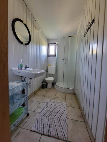 a bathroom with a sink and a toilet and a mirror at Agroturystyka Pod Lipą in Małe Leżno