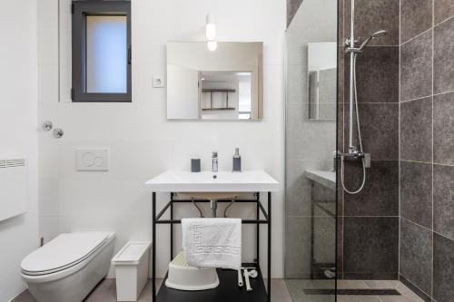 ein Bad mit einem Waschbecken, einem WC und einer Dusche in der Unterkunft Family friendly house with a parking space Baske Ostarije, Velebit - 21330 in Brušane