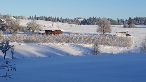 Imanje Mir en invierno