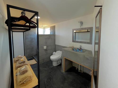 a bathroom with a sink and a toilet and a mirror at EXPERIENCE in Pescadero