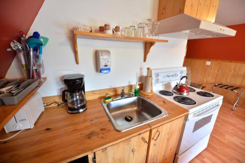 a small kitchen with a sink and a stove at OTIS Nature in Lamarche