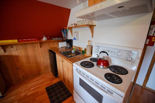 a kitchen with a stove and a tea kettle on it at OTIS Nature in Lamarche