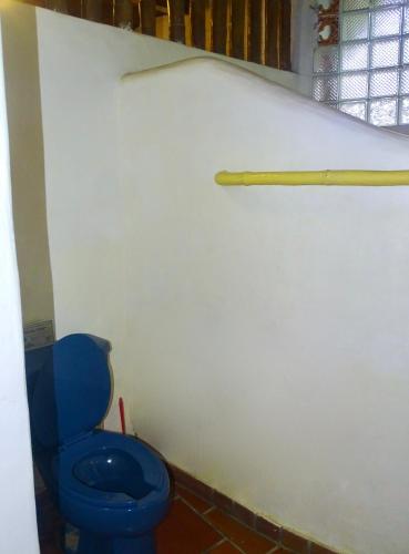 a bathroom with a blue toilet and a baseball bat at Sayulita Beach House Hotel in Sayulita