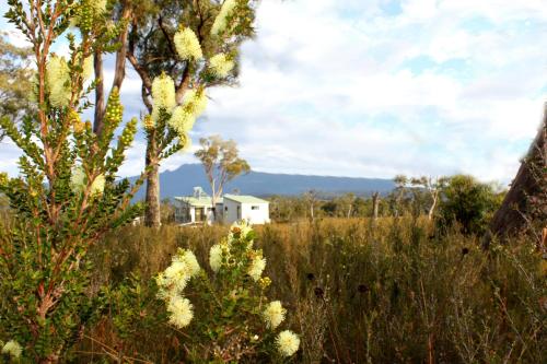 a house in the middle of a field with tall grass at Far South Eco-Cabin, Southern Tasmania in Lune River