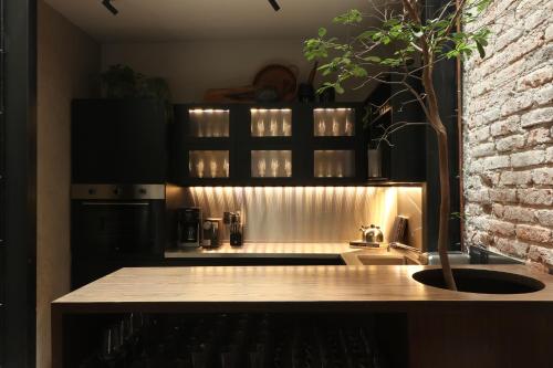 een keuken met een wastafel en een plant erin bij Aposento Boutique Hotel in Mexico-Stad