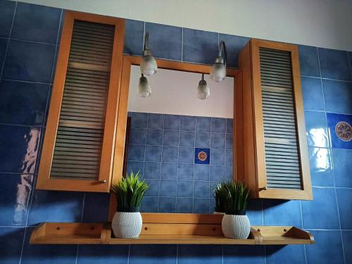 due piante sedute su una mensola in bagno di Villa Totti a Ierissós