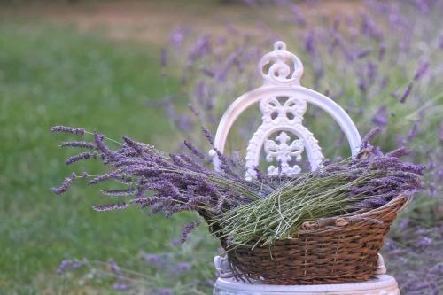a basket of lavender sitting on top of a table at Villa Toscana in Hajdúszoboszló