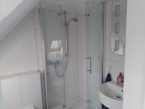 een witte badkamer met een douche en een wastafel bij Apartment Biesnitz in Görlitz