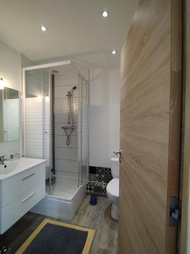 une salle de bain avec une douche, des toilettes et un lavabo dans l'établissement Studio port Toulon, à Toulon