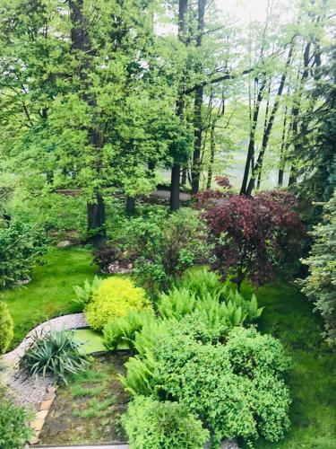 a garden with lush green plants and trees at Zielona Prowincja in Mysłakowice