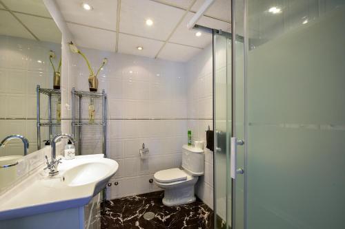 een badkamer met een toilet, een wastafel en een douche bij Stella Maris in Fuengirola
