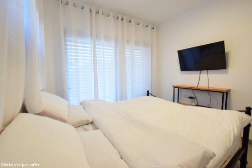 Schlafzimmer mit einem Bett und einem Flachbild-TV in der Unterkunft Allen suite in Migdal
