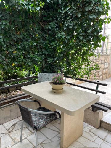 einen Tisch und einen Stuhl mit einer Topfpflanze darauf in der Unterkunft Apartment Get in Supetar