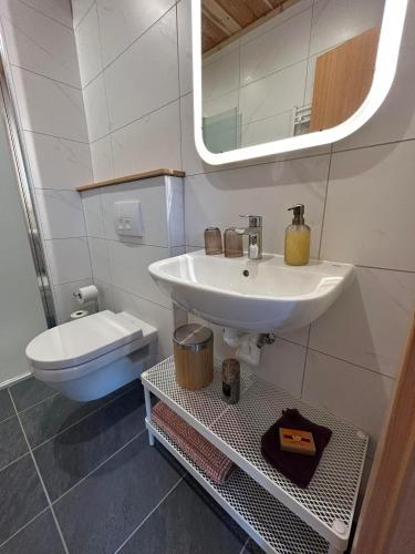 a bathroom with a sink and a toilet at FeWo Berk in Kühnburg