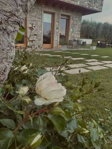 Jardin de l'établissement Holiday Home Sovenigo