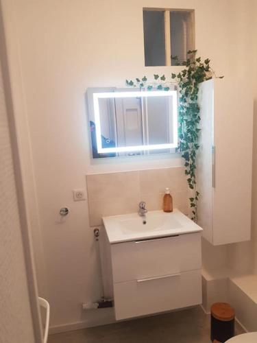 a white bathroom with a sink and a mirror at Le studio du quai in Charleville-Mézières