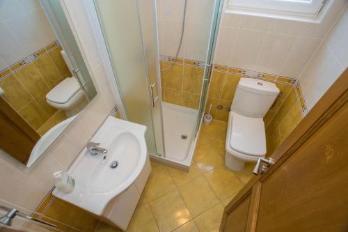 La salle de bains est pourvue de toilettes, d'un lavabo et d'une douche. dans l'établissement Moderne Wohnung in Poreč mit Garten und Terrasse, à Poreč