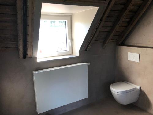 a bathroom with a toilet and a window at La conciergerie in Namur