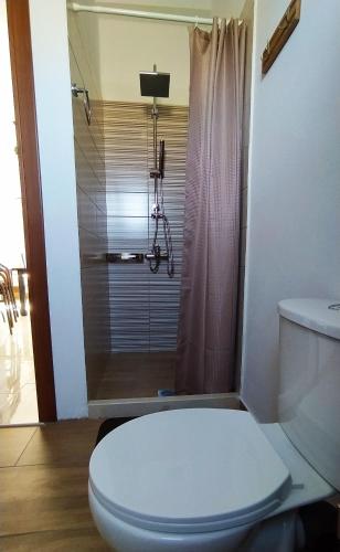 a bathroom with a toilet and a shower at Ilios - country house in Kalamaki