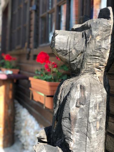 Gambar di galeri bagi Chalet Husky-Cabana integrală di Şotrile