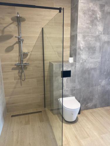 uma casa de banho com um WC e uma cabina de duche em vidro. em Apartament Daleszyce em Daleszyce