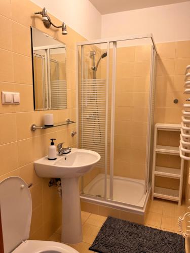 W łazience znajduje się umywalka, prysznic i toaleta. w obiekcie Przystań Znamirowice w mieście Znamirowice