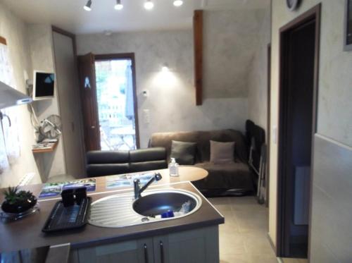 Il dispose d'une cuisine avec un évier et d'un salon avec un canapé. dans l'établissement Gite appartement location vacance montagne pyrenees, à Soulom