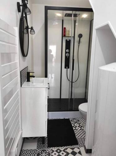 une salle de bain avec une douche, un lavabo et des toilettes dans l'établissement Maison Ville avec Patio entre Mer & Campagne, à Bacqueville-en-Caux