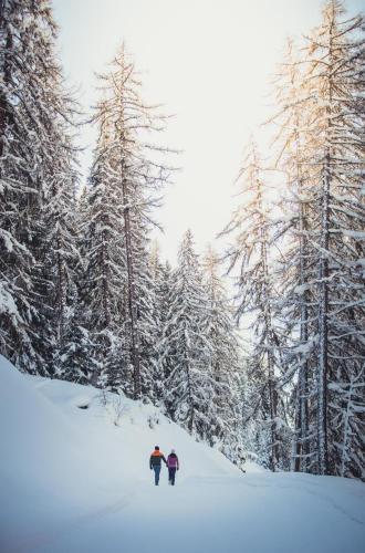 two people skiing on a snow covered slope with trees at Haus Rovina in Münster