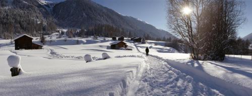 a group of people walking down a snow covered road at Haus Rovina in Münster