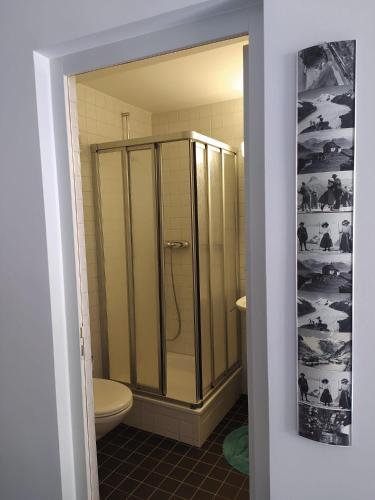 a bathroom with a shower and a toilet at Haus Rovina in Münster