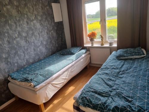 Stenstorp的住宿－dala källebacka，带窗户的客房内设有两张单人床。