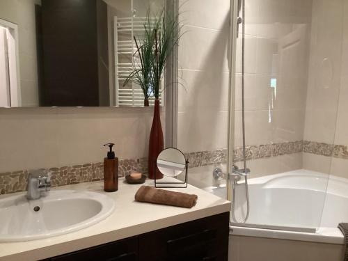 une salle de bain avec un lavabo, une douche et une baignoire dans l'établissement Arcachon, à Arcachon