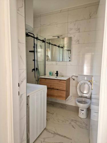 a bathroom with a toilet and a sink and a mirror at Apartman Milija in Trebinje