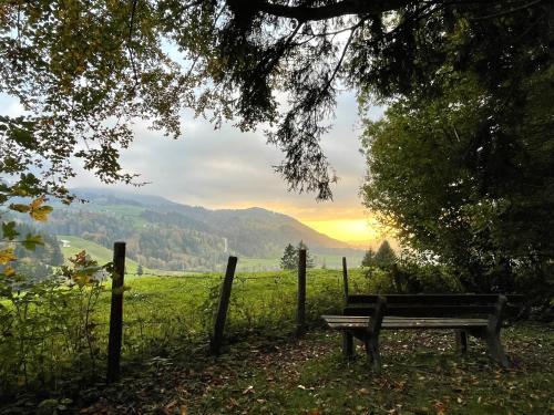a park bench sitting in a field with a view at Parkhotel Oberstaufen in Oberstaufen