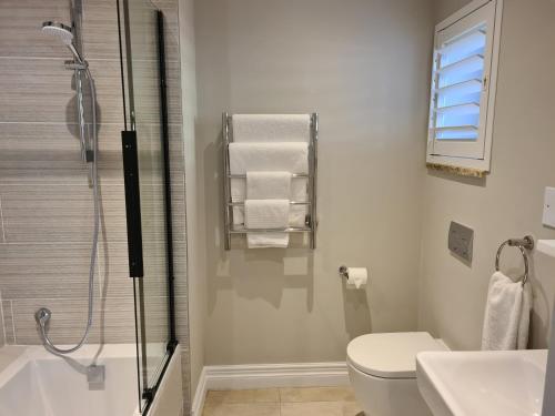 a bathroom with a shower and a toilet and a sink at Amberhall Guesthouse in Johannesburg