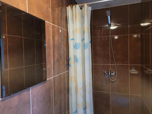 a shower with a shower curtain in a bathroom at Sebar in Gorzyce