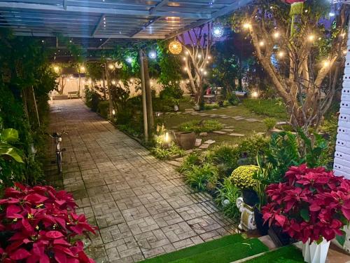 Taman di luar LQ villa -Long Hải