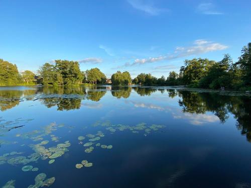 a large lake with lily pads on it at Landhaus Lotten in Winsen Luhe