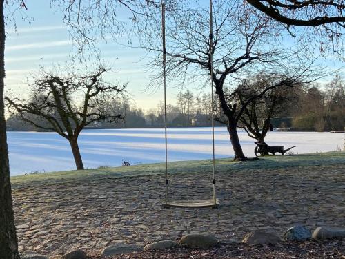 a swing in a park next to a lake at Landhaus Lotten in Winsen Luhe
