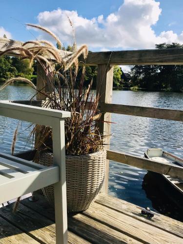 a plant in a basket sitting on a fence next to a bench at Landhaus Lotten in Winsen Luhe
