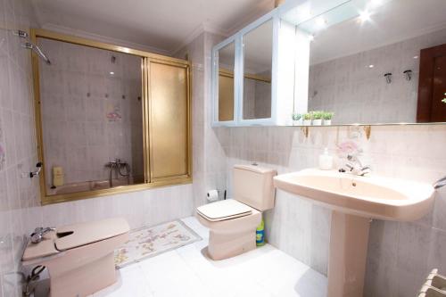 ein Bad mit einem WC, einem Waschbecken und einer Dusche in der Unterkunft Acogedor piso de 6 camas in Salamanca